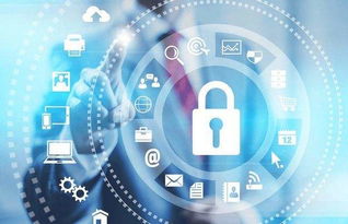 未來十年依舊熱門的四大工科專業(yè) 網(wǎng)絡安全與軟件開發(fā)引領(lǐng)科技浪潮